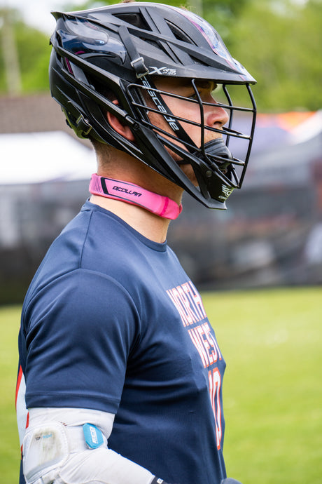 Why You Should Consider Wearing A Q Collar