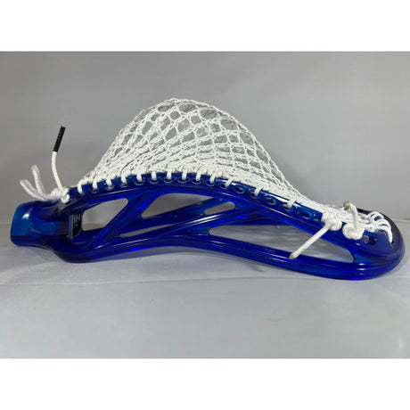 Custom ECD Ion with TR-1 Antrea Mesh