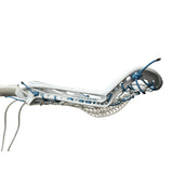 STX Exult Pro Complete Women's Lacrosse Stick with Valkyrie Pocket White/Carolina