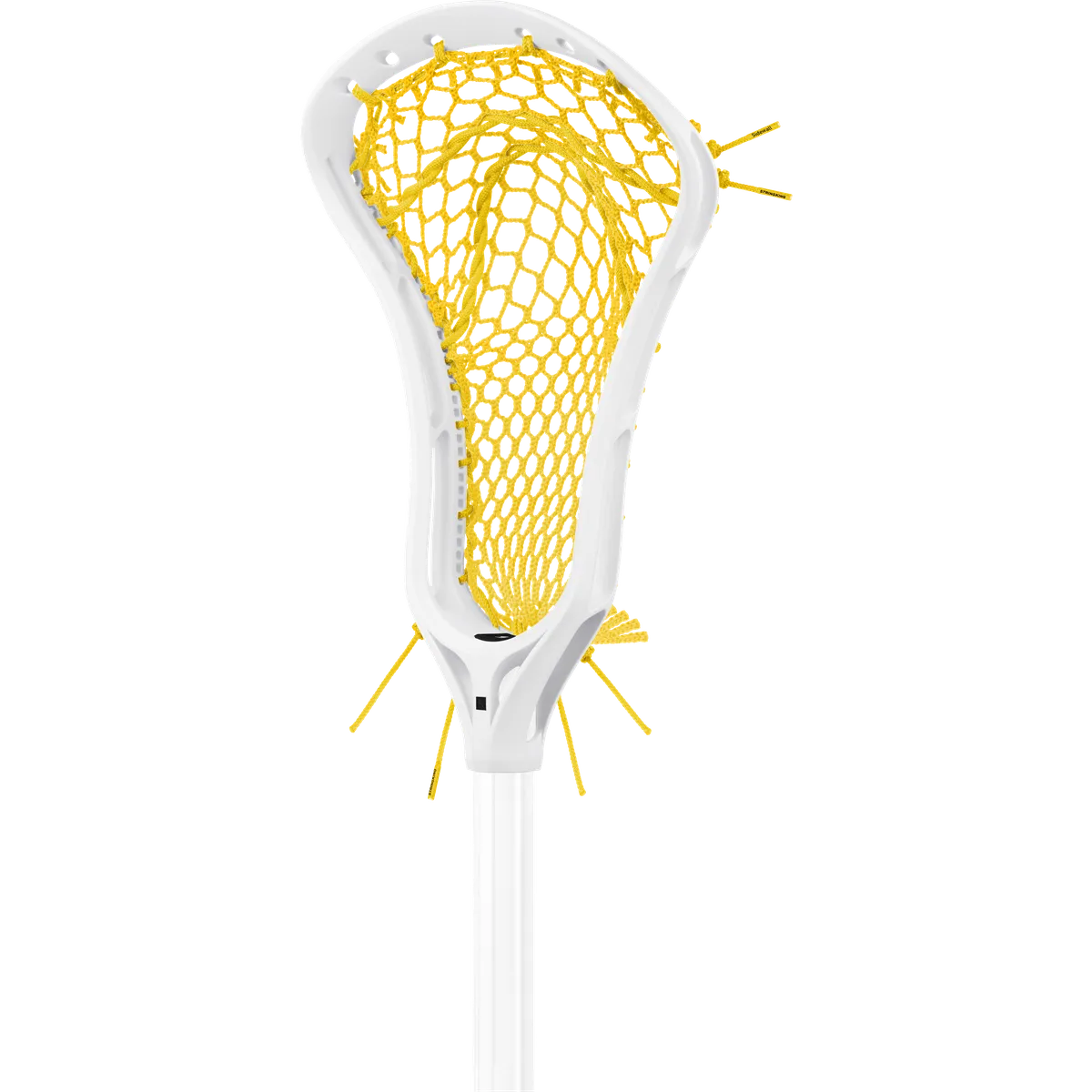 StringKing Women's Complete Legend W Composite Type 5 Mesh