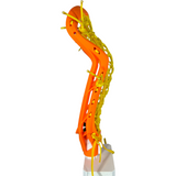 Limited Edition Gait Whip Flex Mesh Women's Lacrosse Head Neon Orange side profile