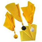 Lacrosse Officials Weighted Flag
